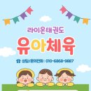 라이온태권도 이미지