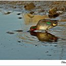 오늘나의정원 이미지