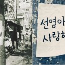 선영아 사랑해 이미지