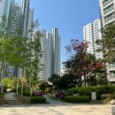 미사봄약국 이미지