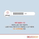 에스케이스킨케어 네이버블로그