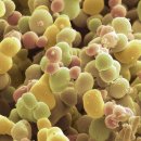 서울365의원 이미지