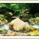 중원-109 Daum카페