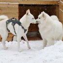 루이유치원 이미지