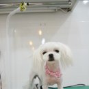 별난살롱 이미지