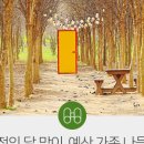 광시 목장 이미지