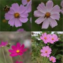 광릉솔개캠핑장 이미지