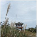 청옥산장 | 장수 장안산(10. 10. 2) 산림청/인기 백대명산 제98위