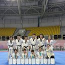 해온태권도 이미지