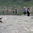 단양군청(농업축산과) 투어코리아