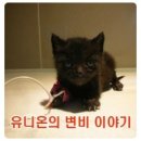 유니온동물의료센터 이미지