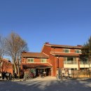 도원공원밖 담장옆 | 크리스마스 서울 가볼만한곳 용산공원 반환부지