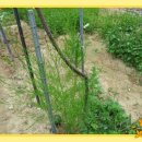 양주농장 이미지