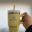 스탠리 퀜처 20oz 핸들 구매기 (가품과 홈애니 퀜처 후기를 곁들인)