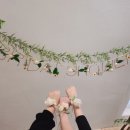 굿투씨유(Good to see you)