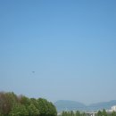 한강시민공원(한강둔치꽃단지) | 서울근교 갈만한곳 유채꽃 명소 구리한강시민공원 실시간 사진 후기