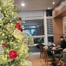 [신촌/카페]독수리다방 내돈내산 솔직후기(+주차), 카공 노트북 가능한 신촌의 역사를 담당하는 곳