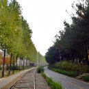 경춘선숲길 이미지