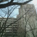 강동-길동-53 이미지