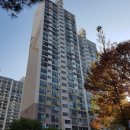 사파동175 이미지