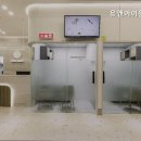 유앤아이동물병원 네이버블로그