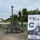 제19회 설문대할망 페스티벌 이미지