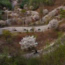 향산리 방향 이미지