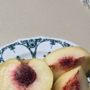 설아농장 | 519. 설아복숭아 - 경남 하동 해풍 복숭아 연구회: 늦가을 맛볼 수 있는 복숭아의 거의 마지막 끝