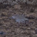 달맞이목장 이미지