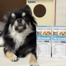 워 | 강아지 종합영양제 면역 철분 비타민 펫파워 급여 후기