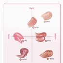 모브먼트 | wakemake 웨이크메이크 글레이즈 픽싱 글로스 전색상 내돈내산 솔직후기