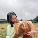 대한목장 네이버블로그