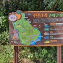 신흥1리 사무소 티스토리