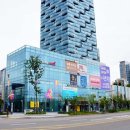 투지인터네셔널