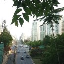 세진세탁소 이미지