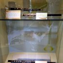 마리소리골악기박물관 | 강원특별자치도 홍천 여행에 가볼만한곳 마리소리골 악기박물관 관람하기