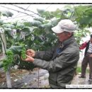 덕우농장 이미지