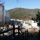 마동-40 이미지