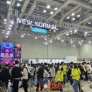 보니게임즈 이미지