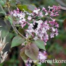 상동시민의강 이미지