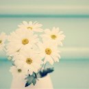 장고행정사 이미지