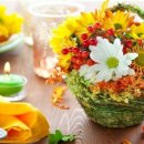 플라워 테라피 이미지