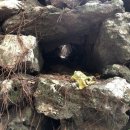 제주 4·3 수악주둔소 이미지