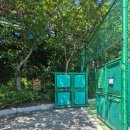 백운포체육공원(테니스장앞) 이미지