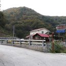 자작나무 펜션 이미지