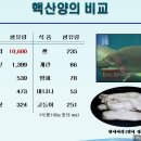 왜 DNA 연어이리 핵산이 좋은가? 이미지