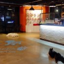 양지-3318 이미지