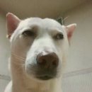 양산제일치과의원 이미지