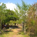 은신목장 이미지