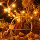 애월등불 민박 이미지